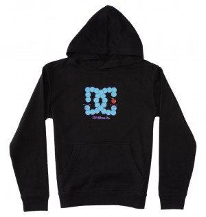 Black DC Shoes Bookworm - Hoodie 10-16 | BRQ-319085