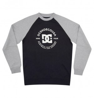 Black / Grey Heather DC Shoes DC Star Pilot - Sweatshirt | AFY-098731