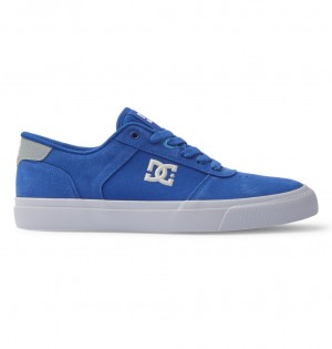 Blue / Blue / White DC Shoes Teknic - Leather Shoes | YPX-182503