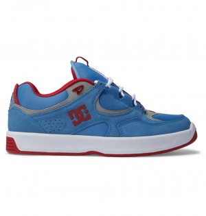 Carolina Blue DC Shoes Kalynx Zero S - Leather Skate Shoes | BTF-075916