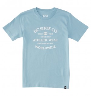 Forget Me Not DC Shoes World Renowed - T-Shirt 10-16 | EOG-184250