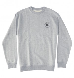 Heather Grey DC Shoes DC Star Pilot - Sweatshirt | QPI-268014