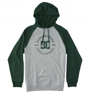 Heather Grey / Sycamore DC Shoes DC Star Pilot - Hoodie | NRT-502639