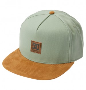 Lily Pad DC Shoes Brackers - Snapback Cap | AWL-978241