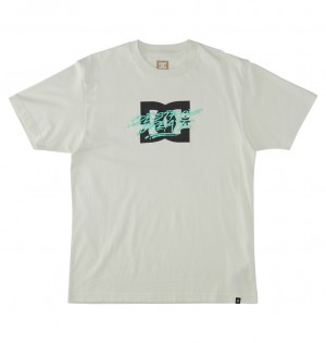 Lily White DC Shoes Flyer - T-Shirt | LHM-937410