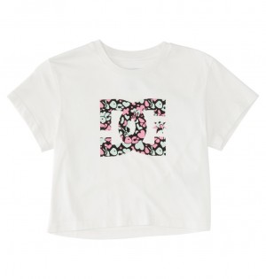 Lily White Enzyme Wash DC Shoes DC Star Fill - Cropped Fitted T-Shirt | QGR-317569