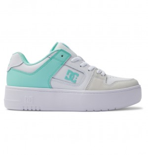 Mint DC Shoes Manteca 4 Platform - Flatform Shoes | DSE-356824