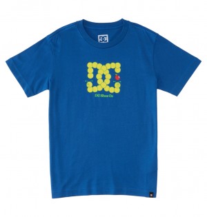 Nautical Blue DC Shoes Bookworm - T-Shirt 10-16 | QHG-347092