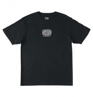 Pirate Black DC Shoes Bulgy - T-Shirt | KUM-328571