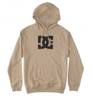 Plaza Taupe DC Shoes DC Star - Hoodie | BXC-794203