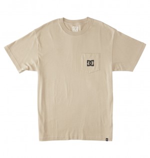 Plaza Taupe DC Shoes DC Star - T-Shirt | NDP-756830