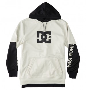 Silver Birch DC Shoes Dryden - Technical Hoodie | CPE-768103