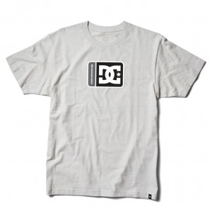 Snow Heather DC Shoes Shanahan - T-Shirt | SCA-602789