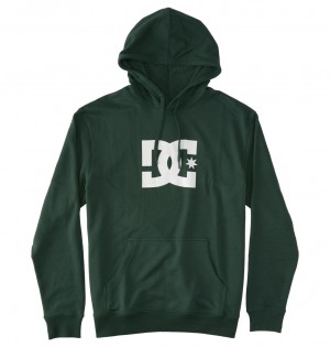 Sycamore DC Shoes DC Star - Hoodie | LBA-086152