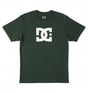 Sycamore DC Shoes DC Star - T-Shirt | SVA-386921