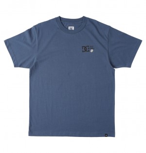 Vintage Indigo DC Shoes Cactus - Crew Neck T-Shirt | TIL-784120