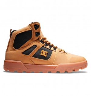 Wheat / Black DC Shoes Pure Hi - Water Resistant High Top Leather Boots | SMP-205413