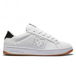 White / Black / Gum DC Shoes Striker - Leather Shoes | ATK-981354