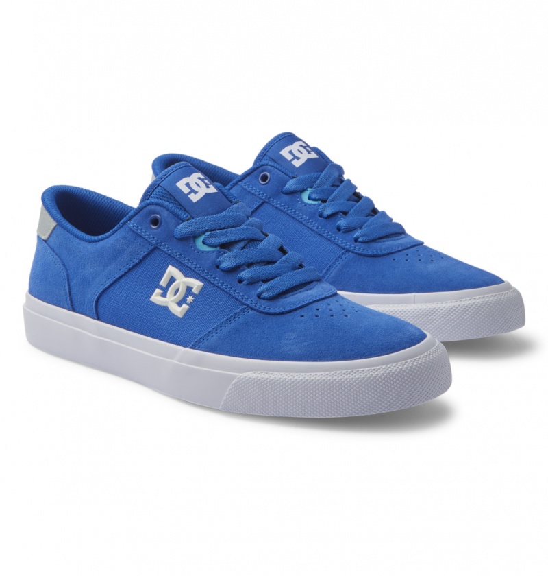 Blue / Blue / White DC Shoes Teknic - Leather Shoes | YPX-182503