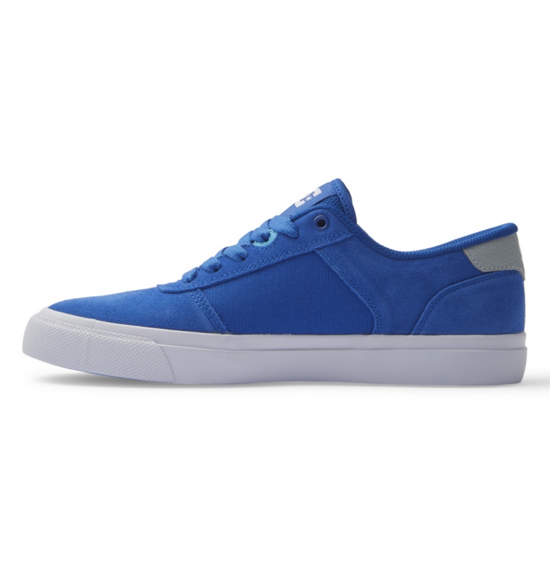 Blue / Blue / White DC Shoes Teknic - Leather Shoes | YPX-182503