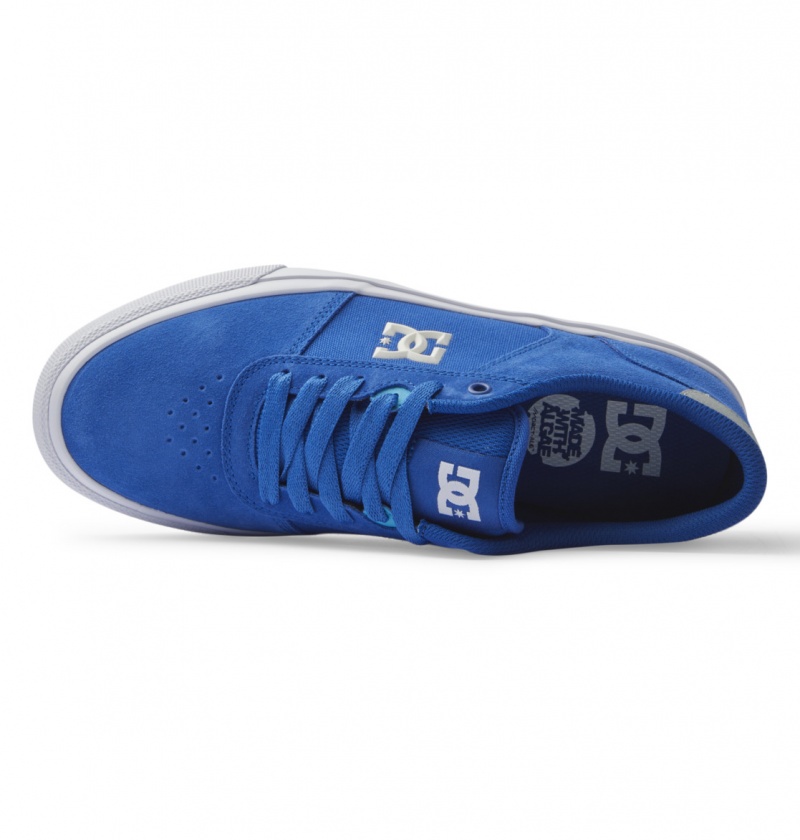 Blue / Blue / White DC Shoes Teknic - Leather Shoes | YPX-182503