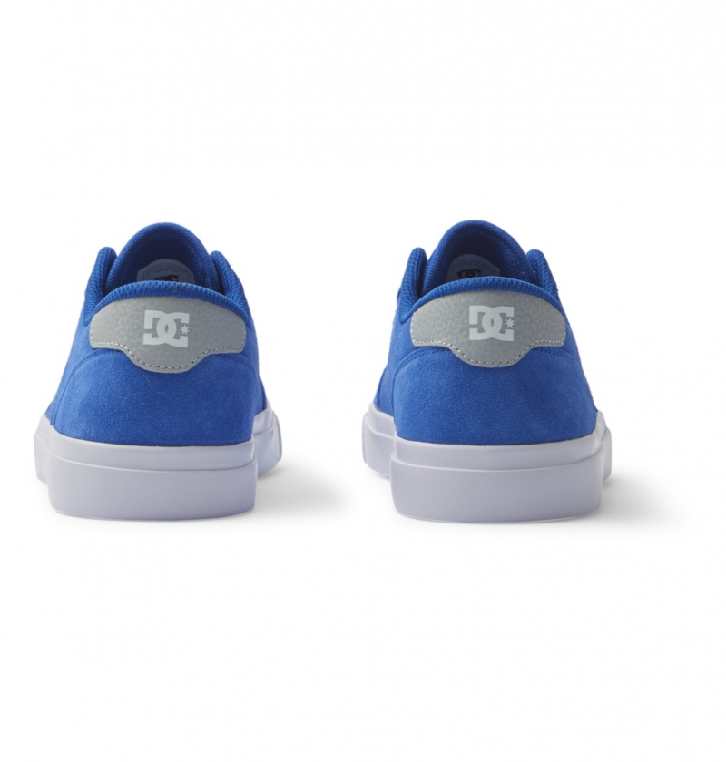 Blue / Blue / White DC Shoes Teknic - Leather Shoes | YPX-182503