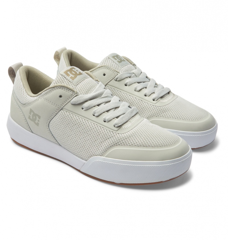 Chestnut / Off White DC Shoes Transit - Shoes | ETR-062539