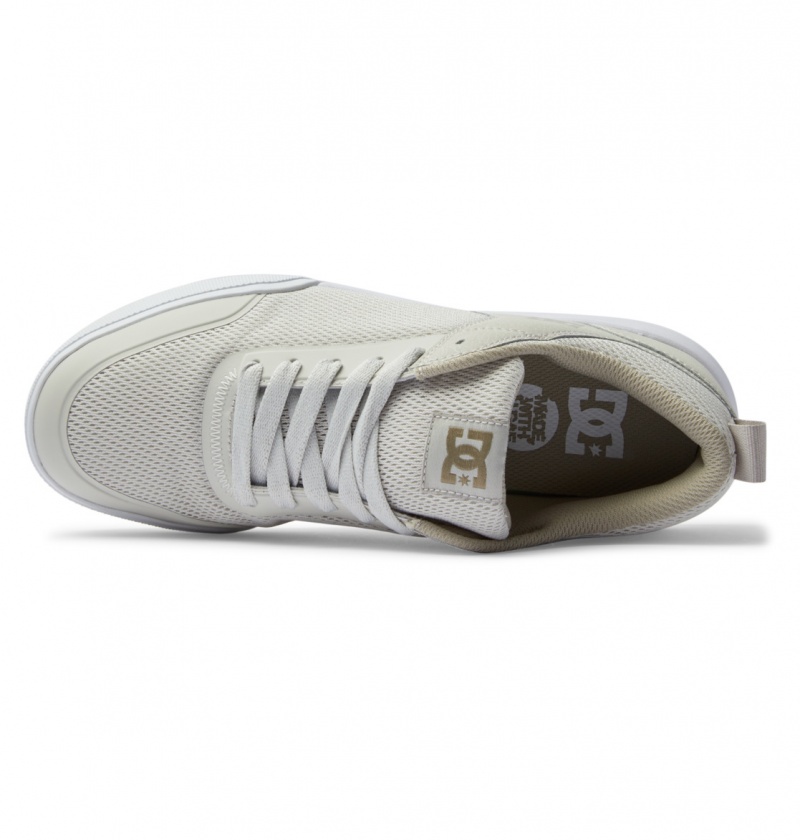 Chestnut / Off White DC Shoes Transit - Shoes | ETR-062539