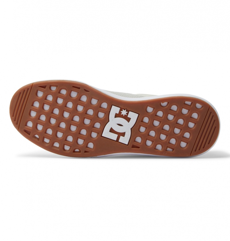 Chestnut / Off White DC Shoes Transit - Shoes | ETR-062539