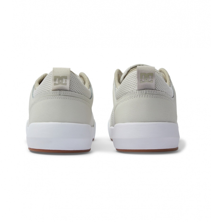 Chestnut / Off White DC Shoes Transit - Shoes | ETR-062539