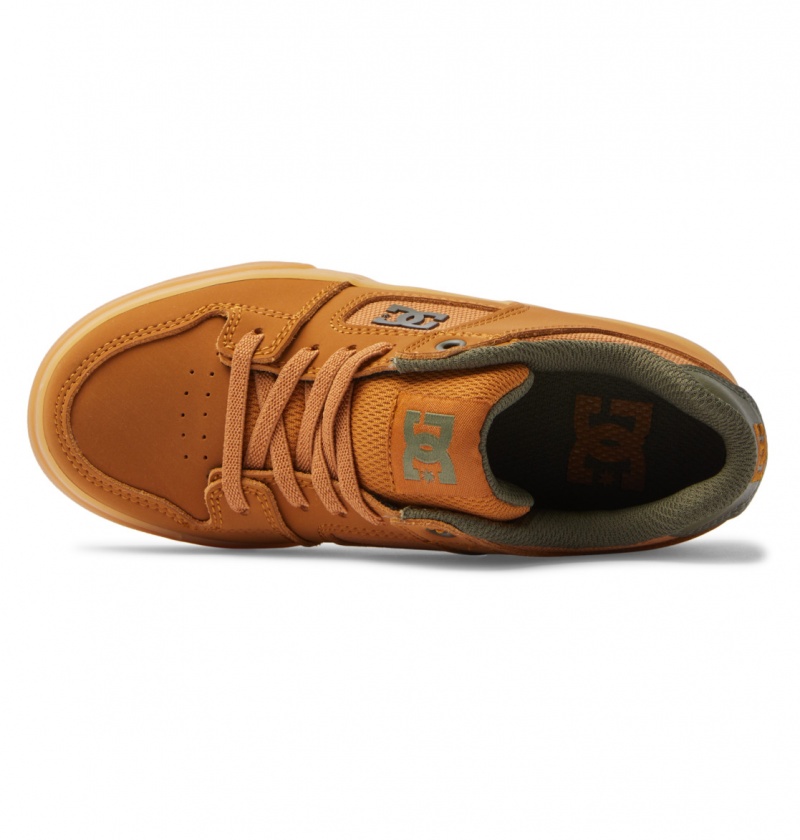 Dark Chocolate / Wheat / Gum DC Shoes Pure Elastic - Shoes 8-16 | ORV-503817