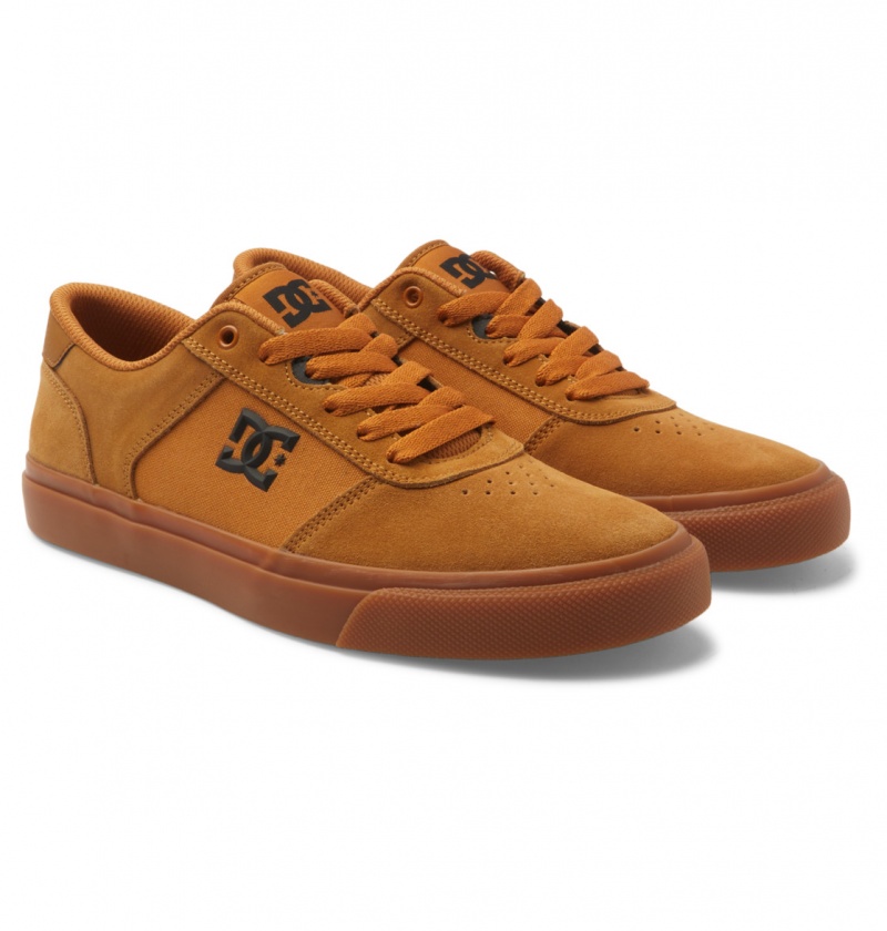 Dark Chocolate / Wheat / Gum DC Shoes Teknic - Leather Shoes | IFM-154786