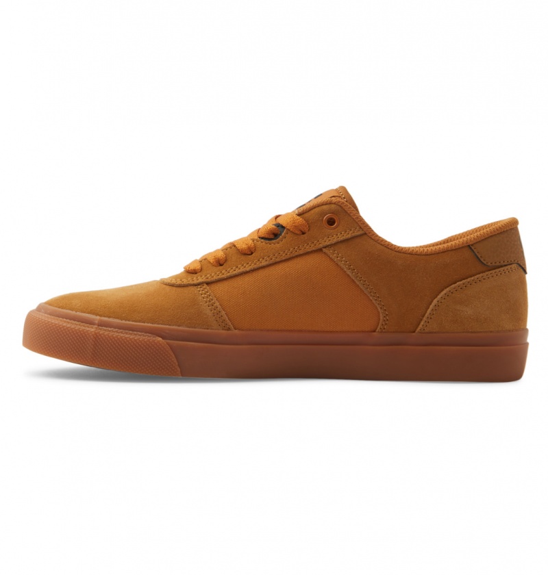 Dark Chocolate / Wheat / Gum DC Shoes Teknic - Leather Shoes | IFM-154786