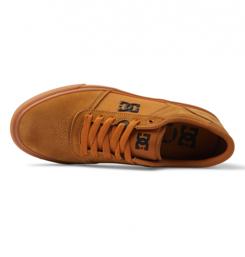 Dark Chocolate / Wheat / Gum DC Shoes Teknic - Leather Shoes | IFM-154786