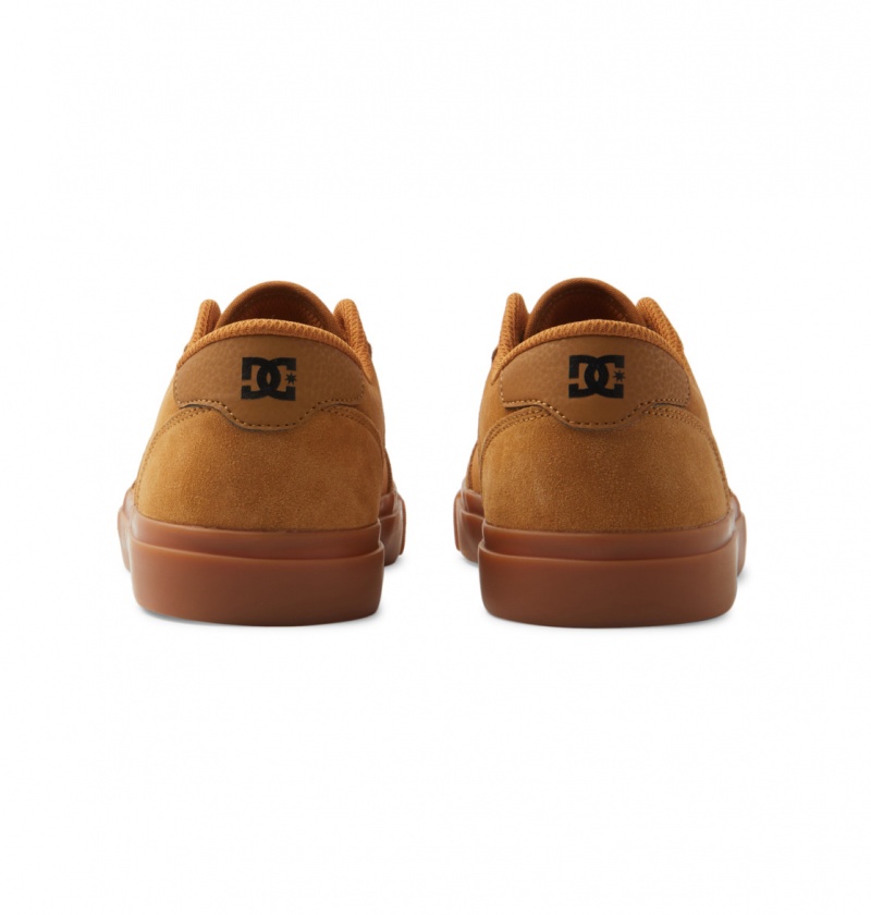 Dark Chocolate / Wheat / Gum DC Shoes Teknic - Leather Shoes | IFM-154786