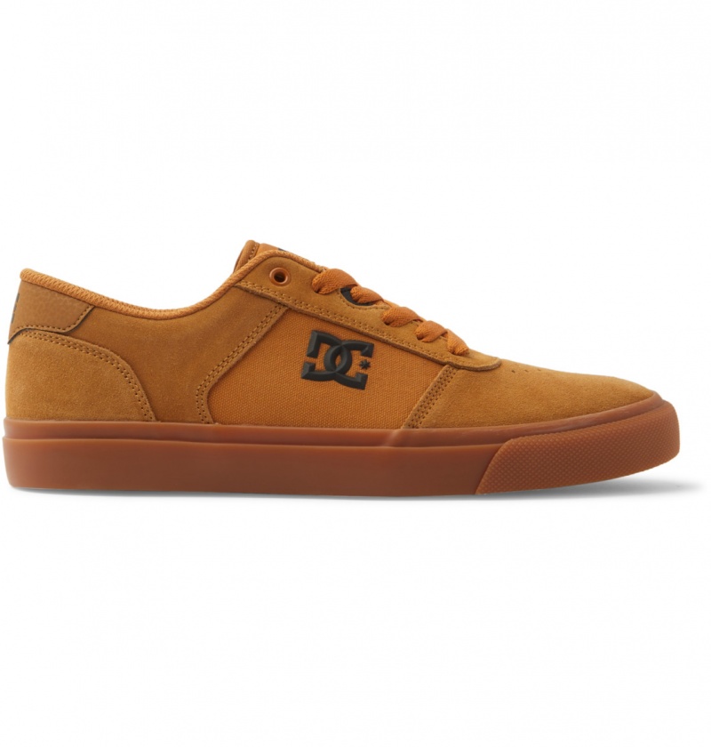 Dark Chocolate / Wheat / Gum DC Shoes Teknic - Leather Shoes | IFM-154786