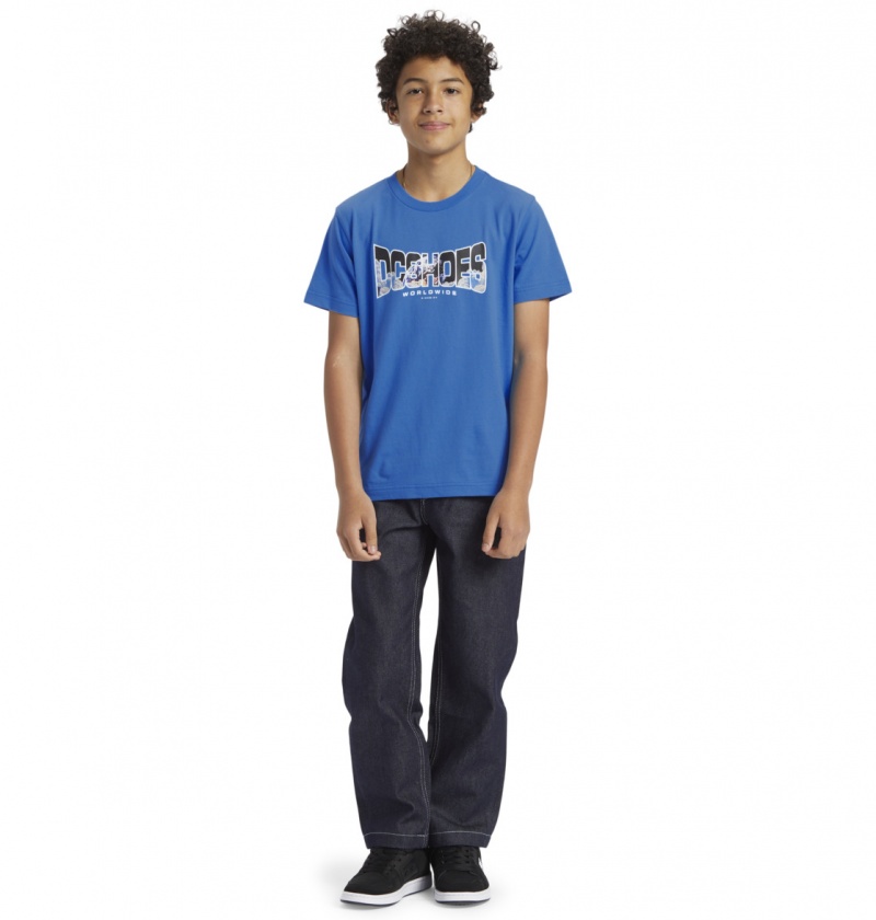 French Blue DC Shoes Astro - T-Shirt 8-16 | EWG-760548