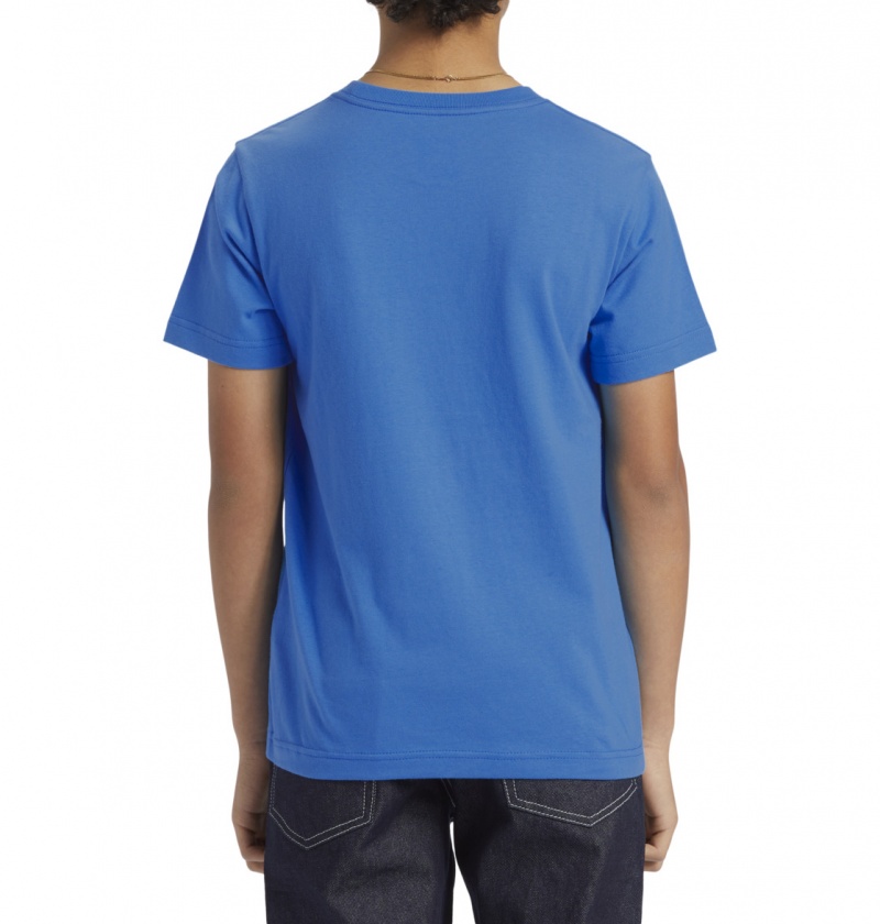 French Blue DC Shoes Astro - T-Shirt 8-16 | EWG-760548