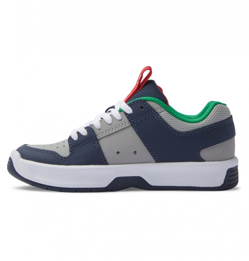 Heather Grey / Navy DC Shoes Lynx Zero - Leather Shoes | EIS-108674