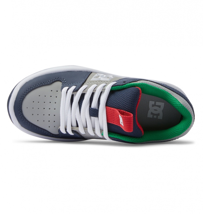 Heather Grey / Navy DC Shoes Lynx Zero - Leather Shoes | EIS-108674