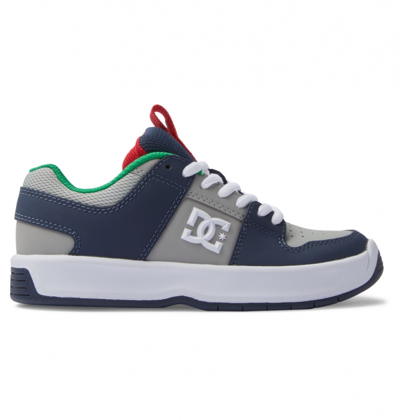 Heather Grey / Navy DC Shoes Lynx Zero - Leather Shoes | EIS-108674