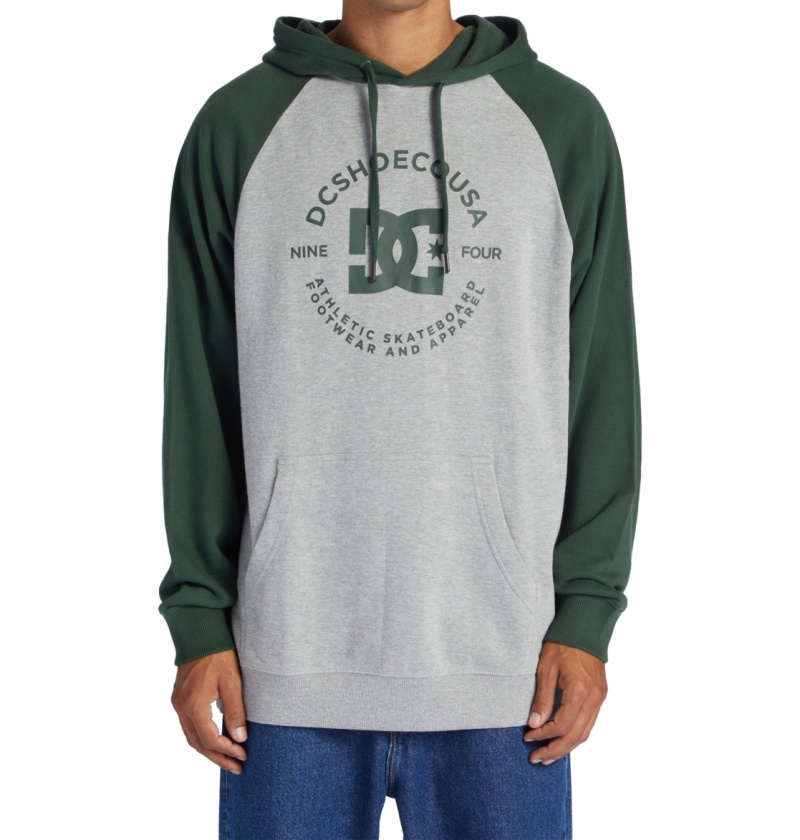 Heather Grey / Sycamore DC Shoes DC Star Pilot - Hoodie | NRT-502639