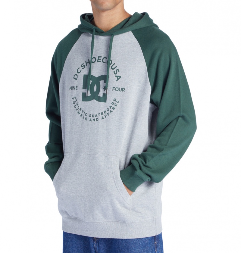 Heather Grey / Sycamore DC Shoes DC Star Pilot - Hoodie | NRT-502639