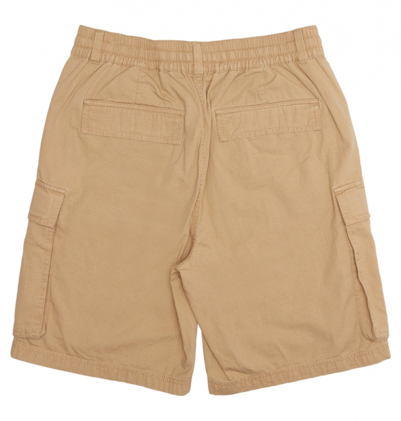 Incense DC Shoes Tundra - Cargo Shorts | TES-709654