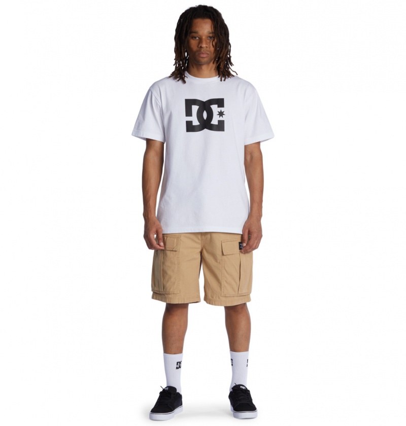 Incense DC Shoes Tundra - Cargo Shorts | TES-709654