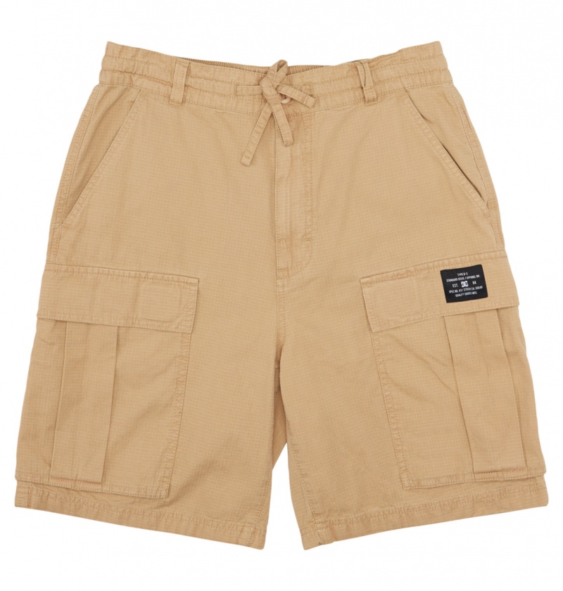 Incense DC Shoes Tundra - Cargo Shorts | TES-709654