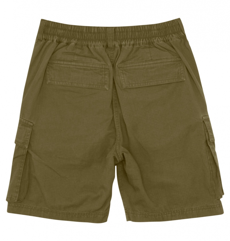 Ivy Green DC Shoes Tundra - Cargo Shorts 8-16 | VYF-956138