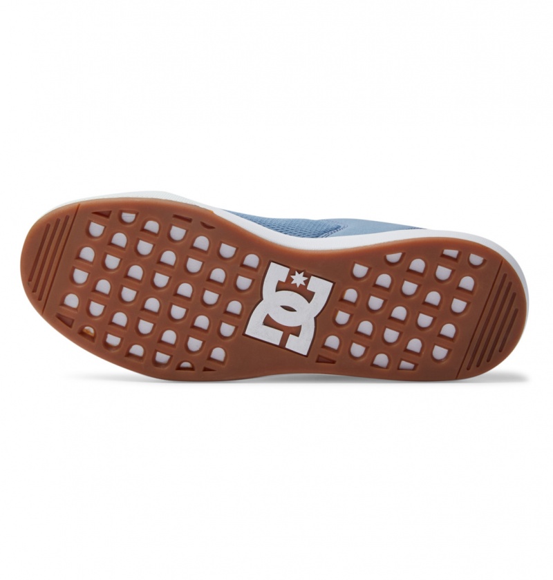 Light Blue DC Shoes Transit - Shoes | HAP-106259