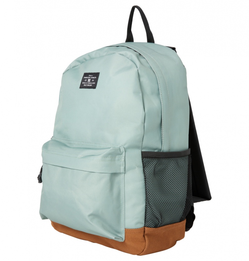 Lily Pad DC Shoes Backsider Core 20L - Medium Backpack | HFR-502391