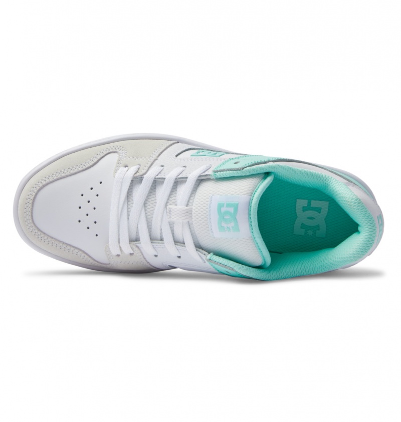 Mint DC Shoes Manteca 4 Platform - Flatform Shoes | DSE-356824